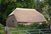 House thatched by Simon Dench